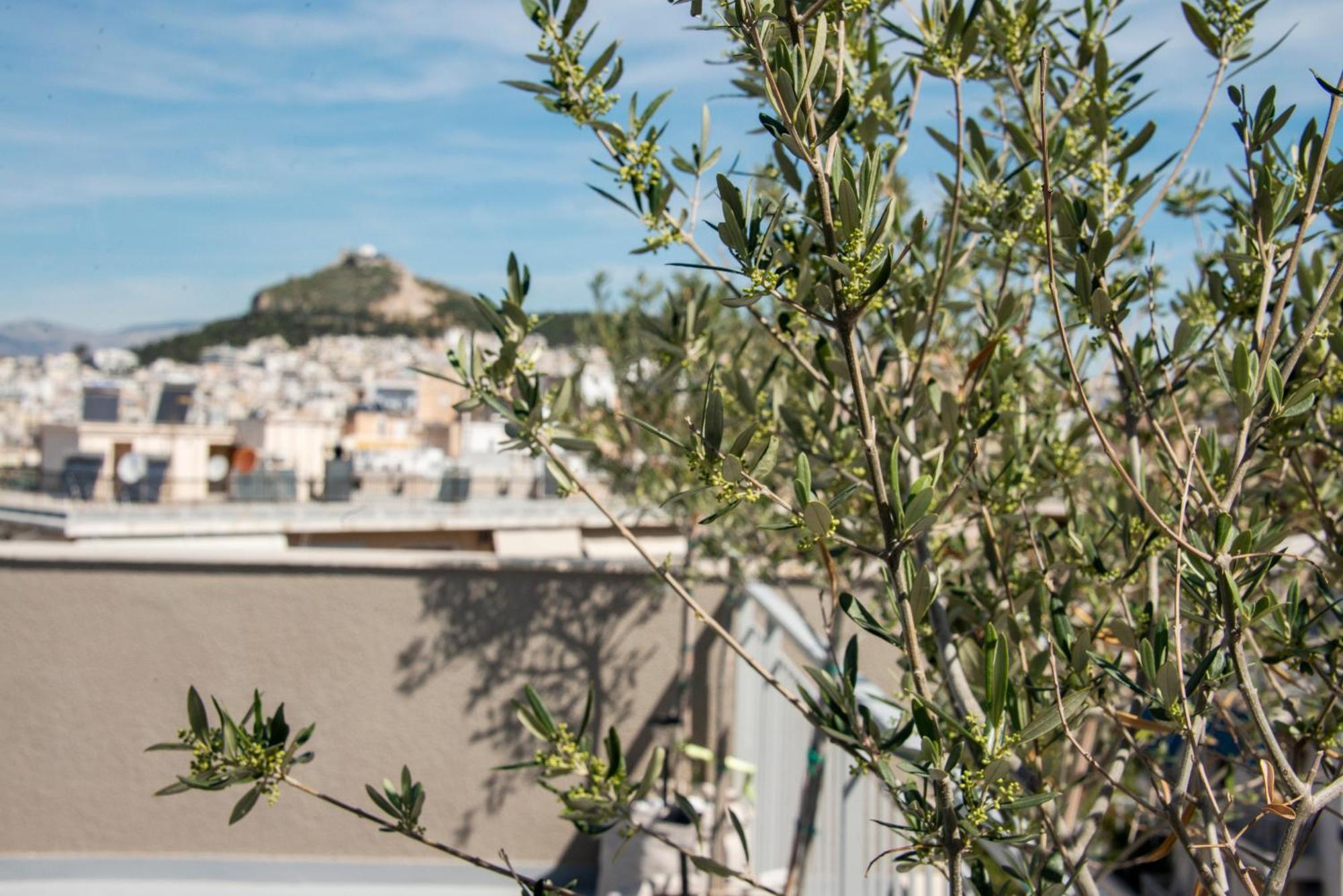 The Athenian Oasis Apartment Luaran gambar